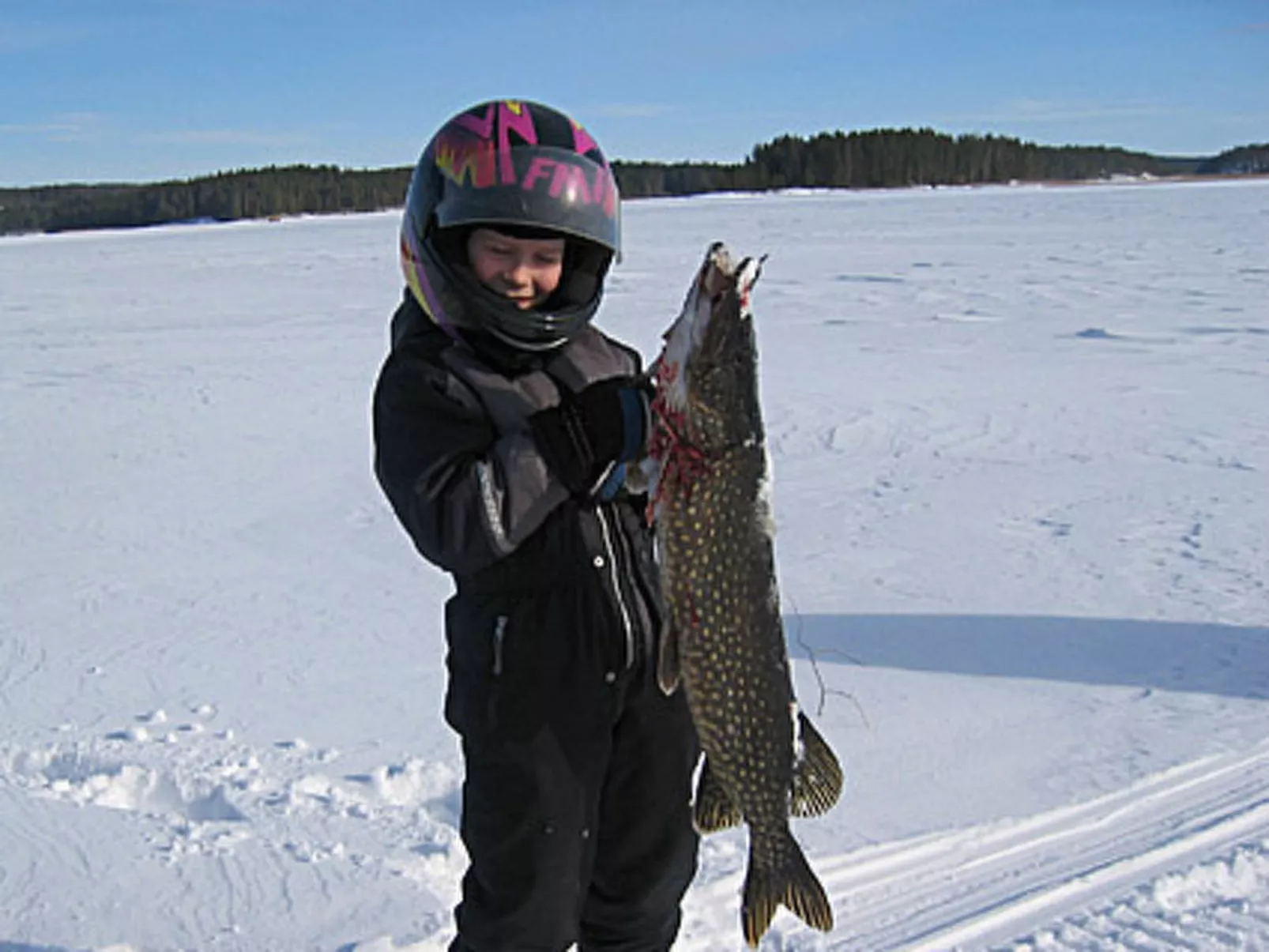 Viljamaan lomamökit 2-Binnen