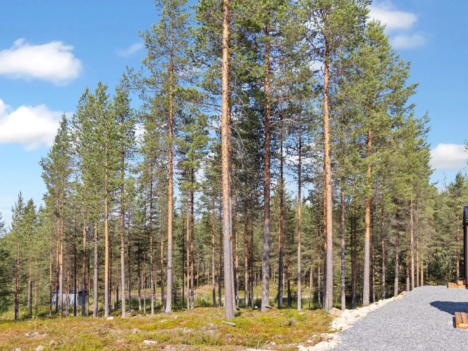Visit pyhä cabins h-Binnen