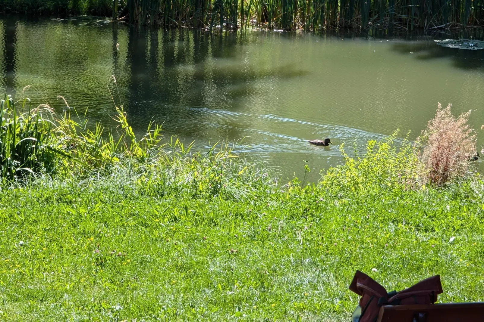 Ferienwohnung Freital - Dresden-Gebieden zomer 5km