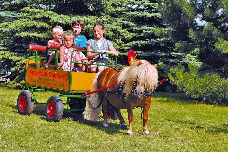 Ferienhaus in Plau am See 3SZ-Parkfaciliteiten
