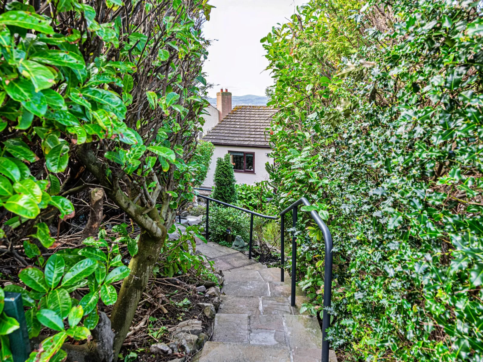 Cesail Y Mynydd-Buiten