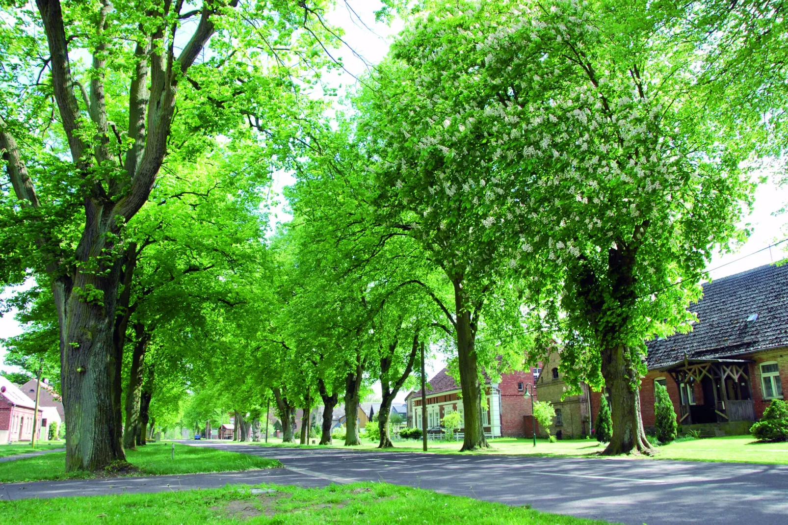 Nr5 - Schwalbennest 6 Personen-Gebieden zomer 1km