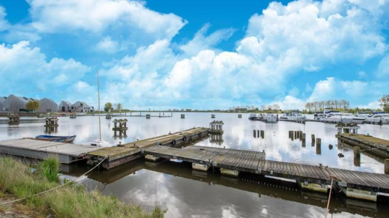 Nieuwendamme H114-Gebieden zomer 1km
