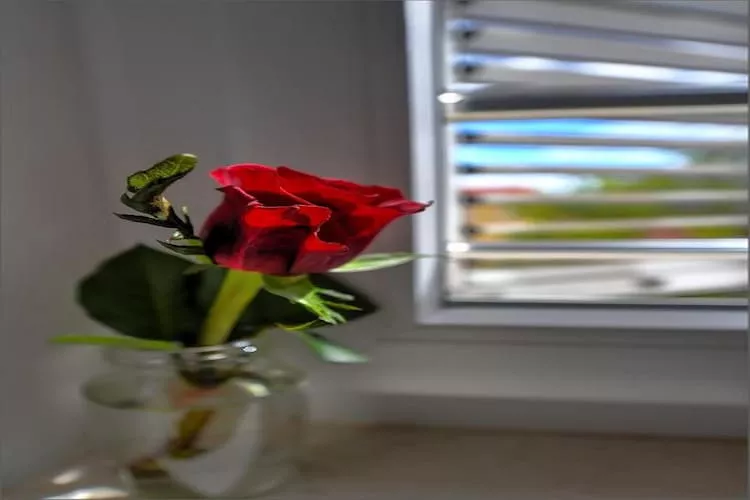 Deluxe Room with King Bed (2)-Binnen