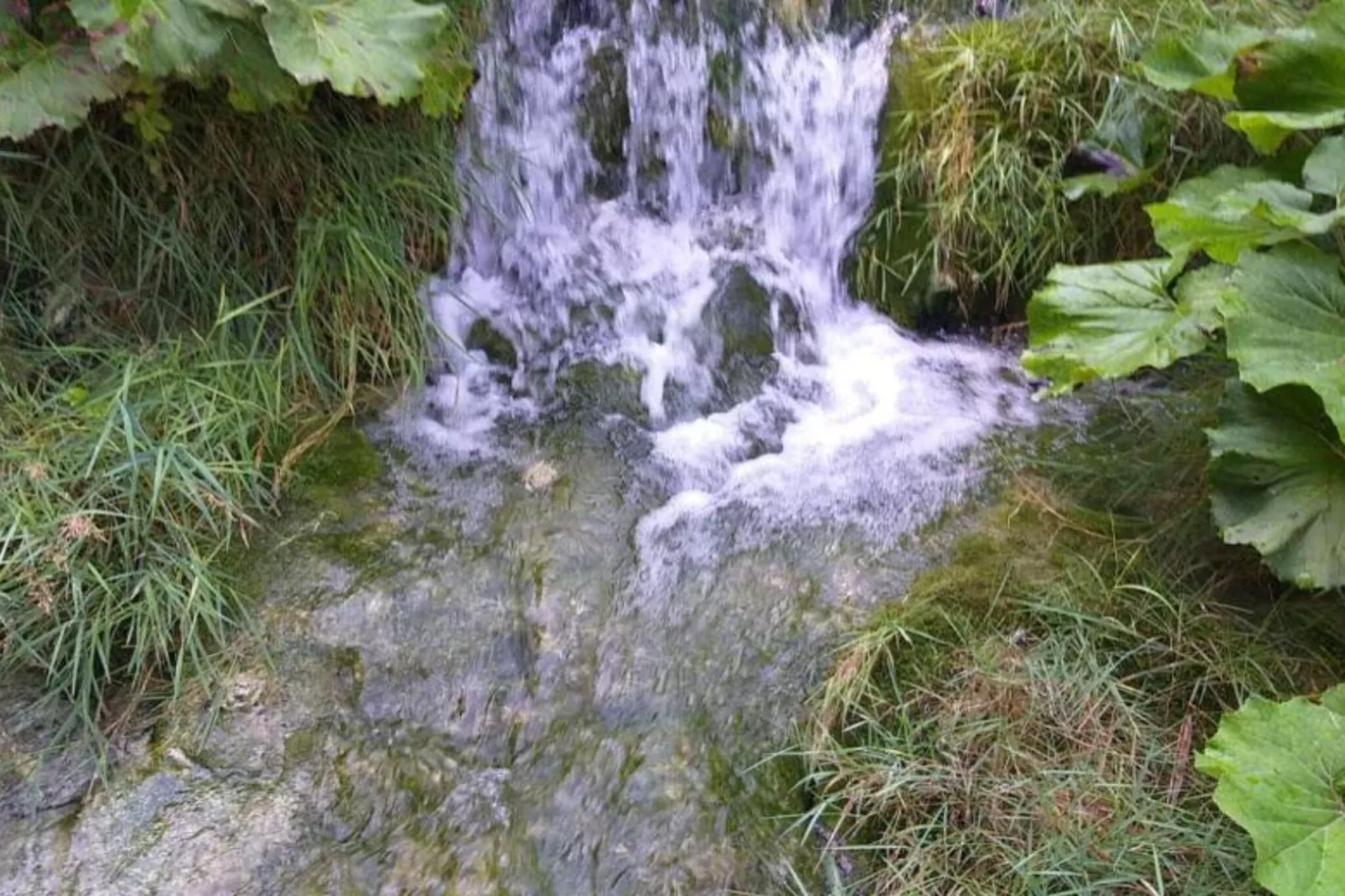 Holiday Apartment Vuković - Three Bedroom Holiday Home With Terrace