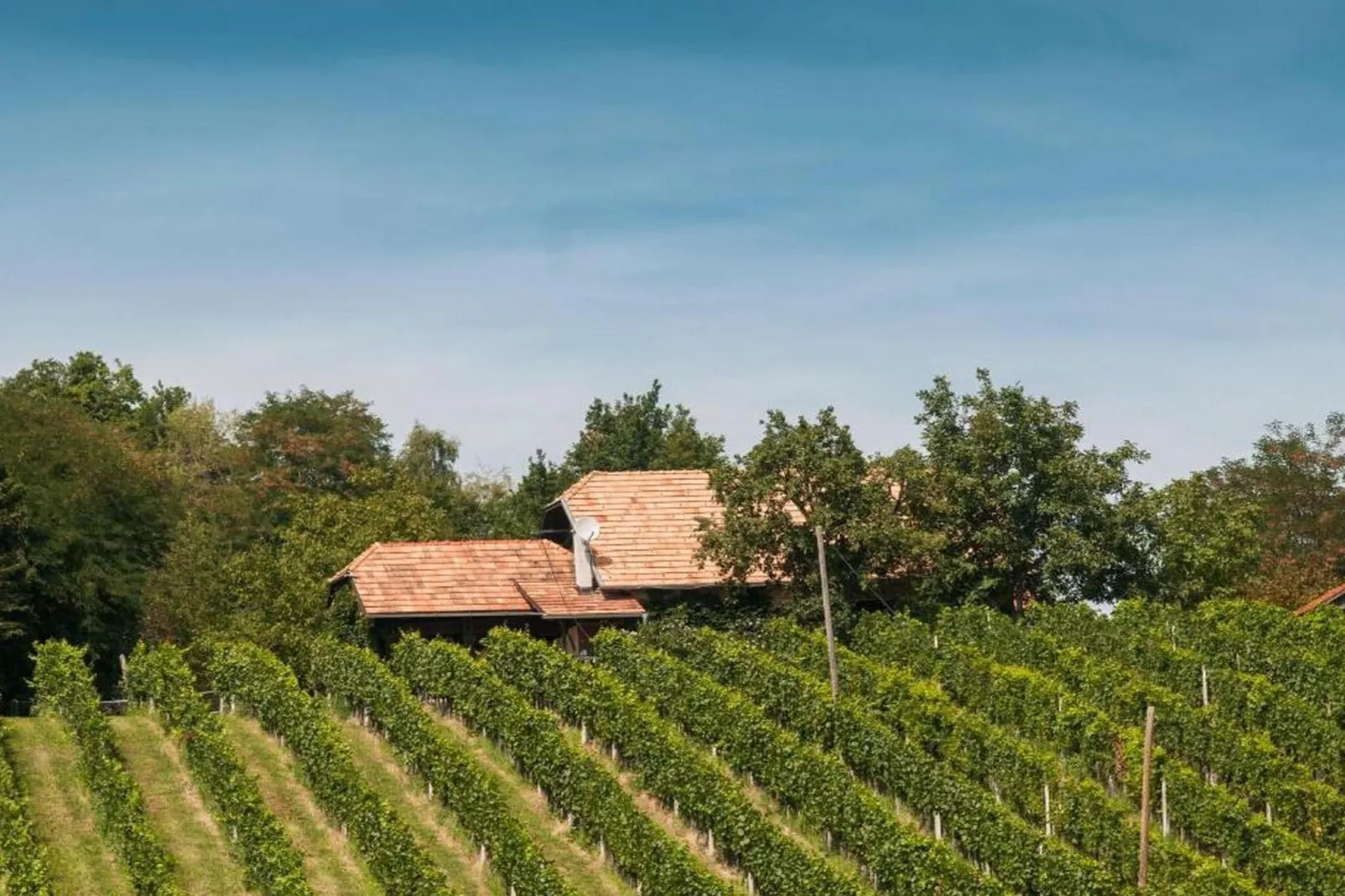 Rustic Charm Cottage Country House with Sauna - Five Bedroom  Holiday Home with Sauna-Buitenlucht