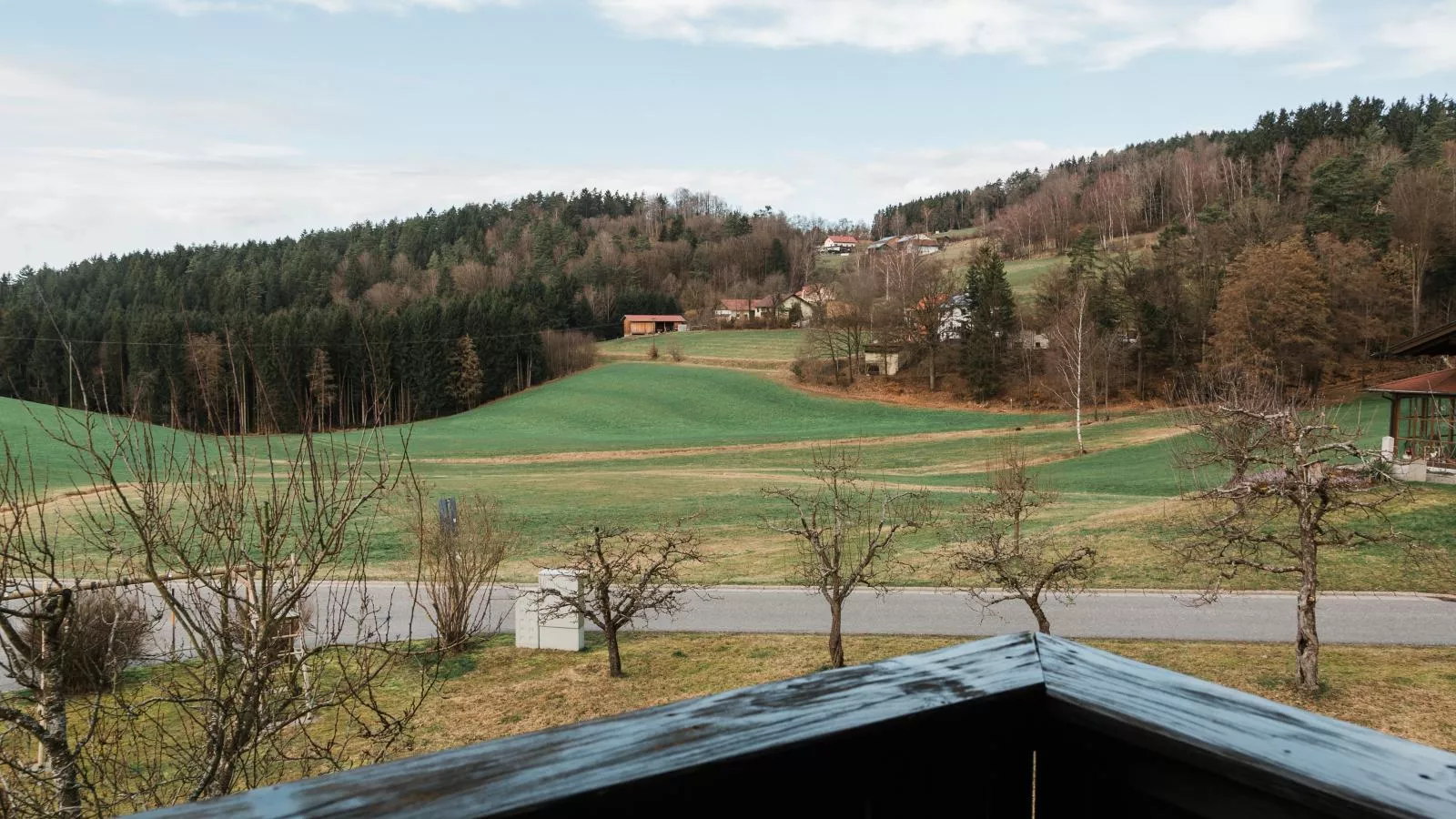 Im Bayerischen Wald-Uitzicht zomer