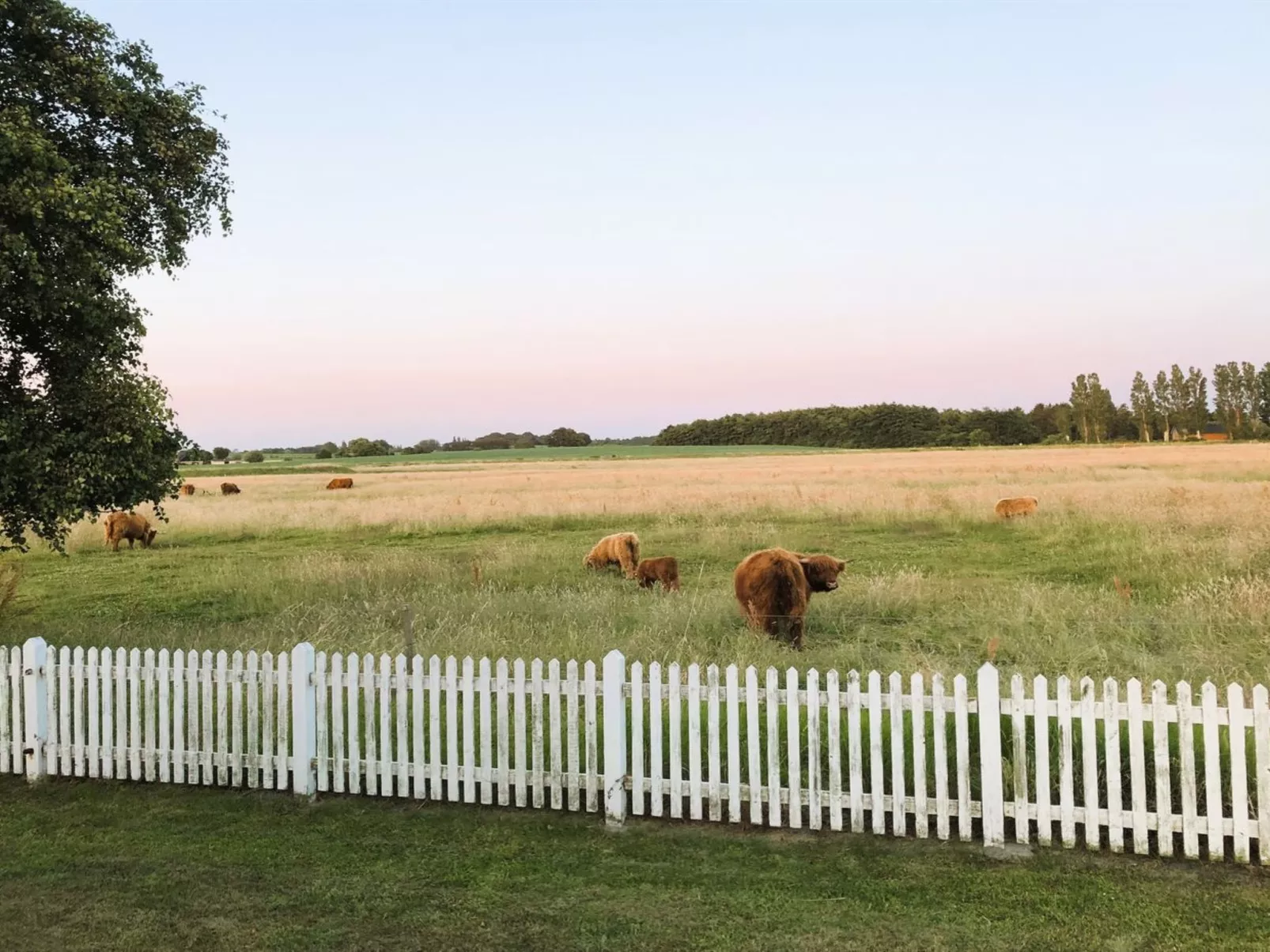 "Roya" - 100m from the sea-Buiten