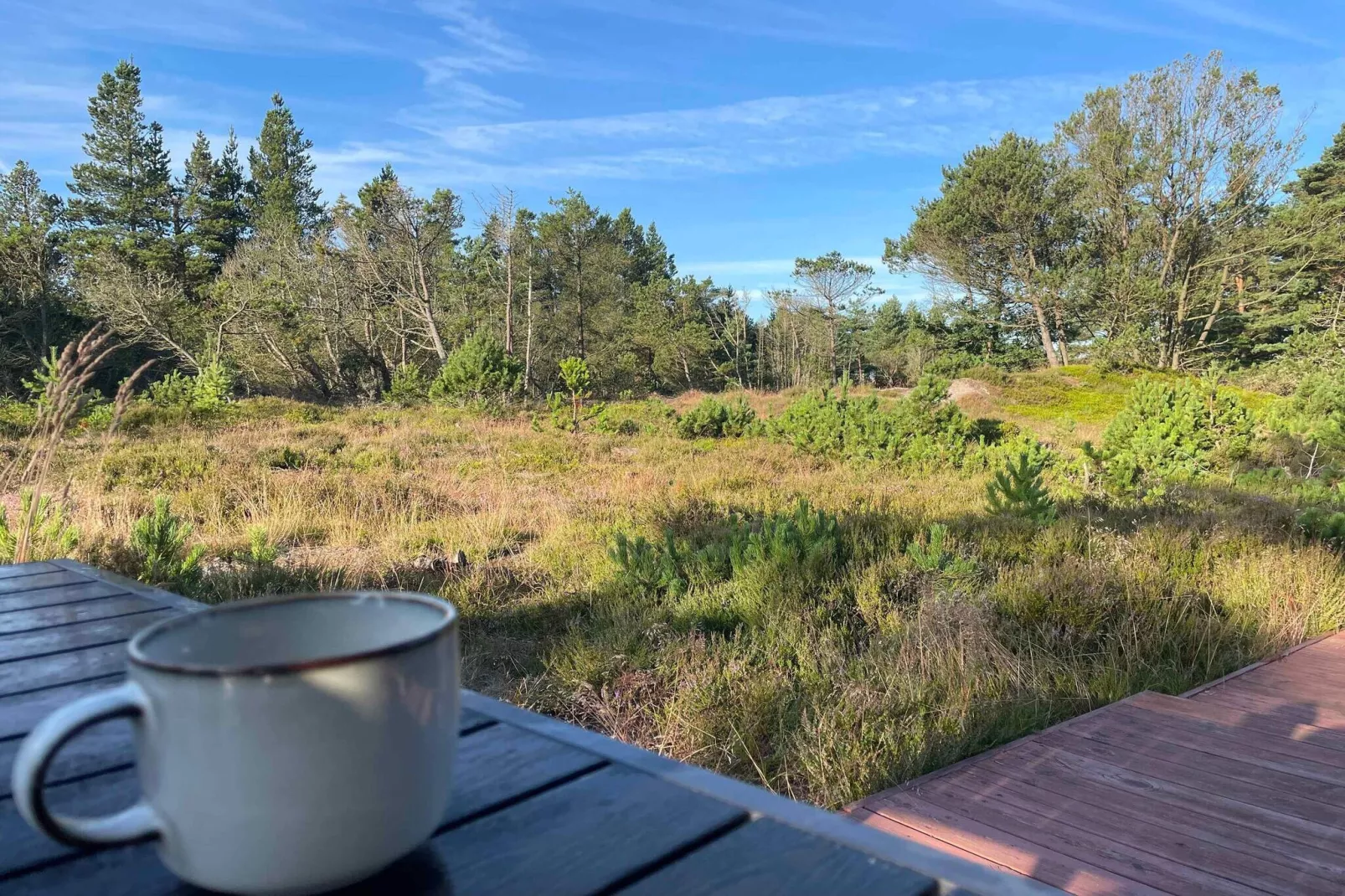 5 sterren vakantie huis in Ålbæk-Binnen