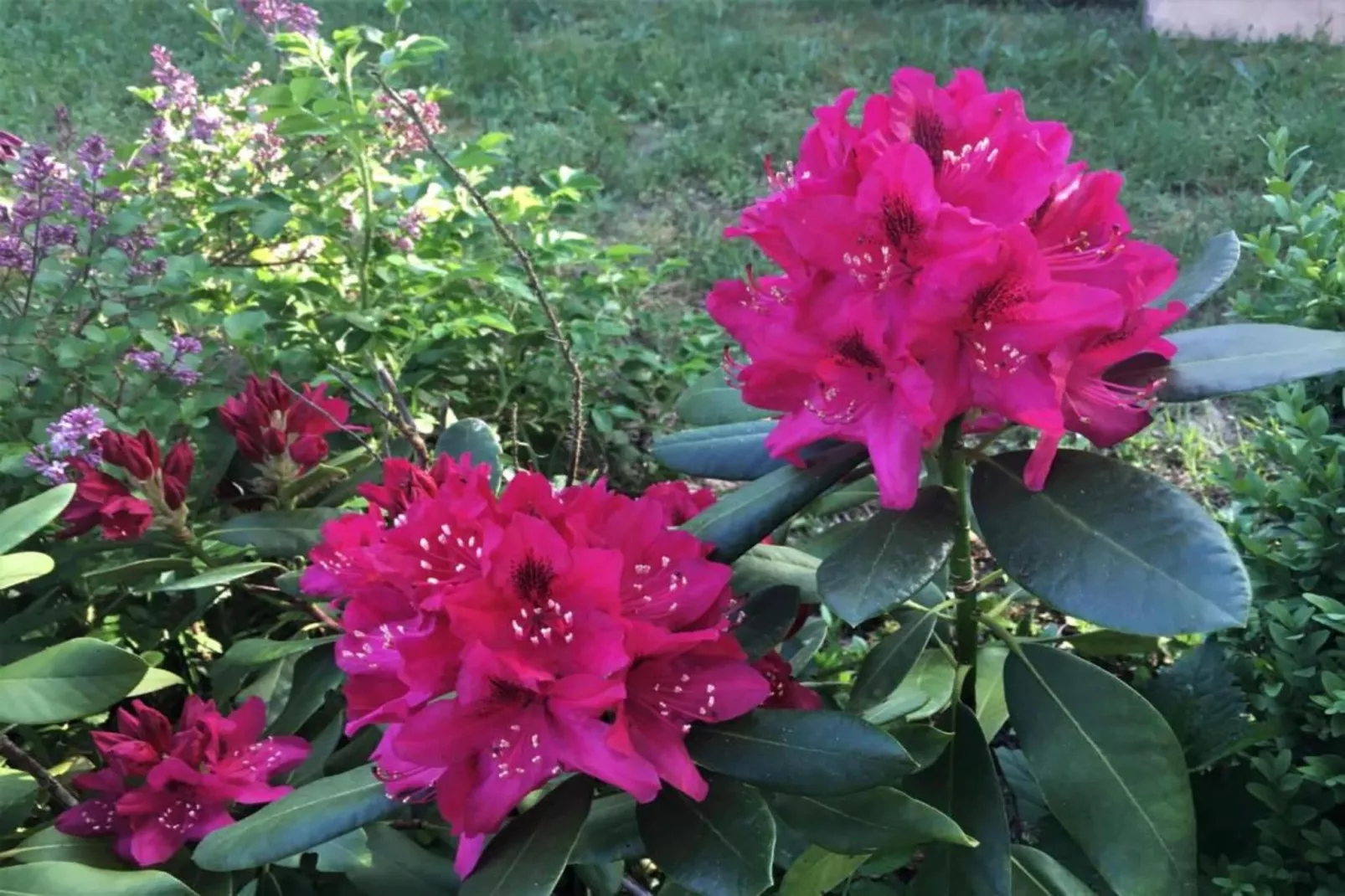Hausboot in Zehdenick-Gebieden zomer 20km