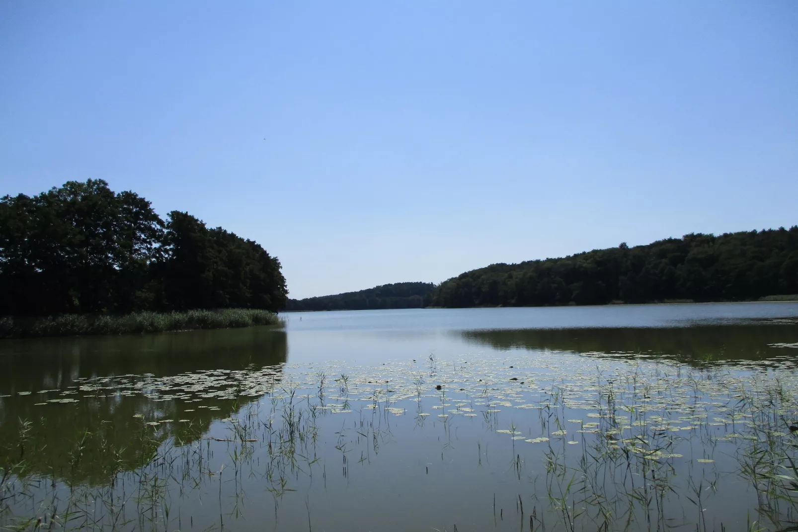 Green Hill Domysłów-Gebieden zomer 1km