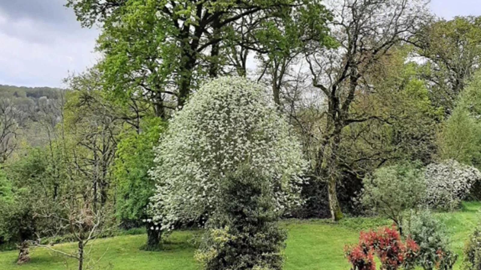 Chez Rambaud-Tuinen zomer