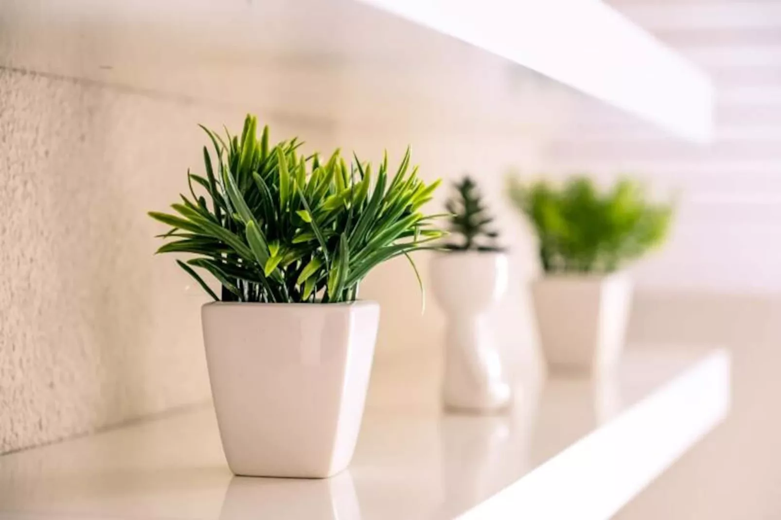 Slow Chalet Montblanc Soleil Sur Les Pistes Ascenseur Balcon, Vue, Parking-Niet-getagd