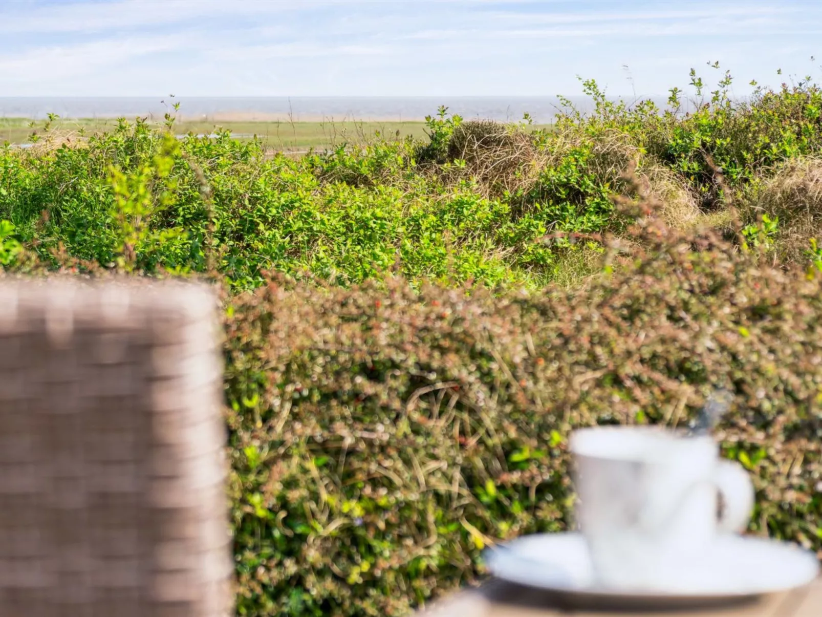 "Sedine" - 3.9km from the sea-Buiten