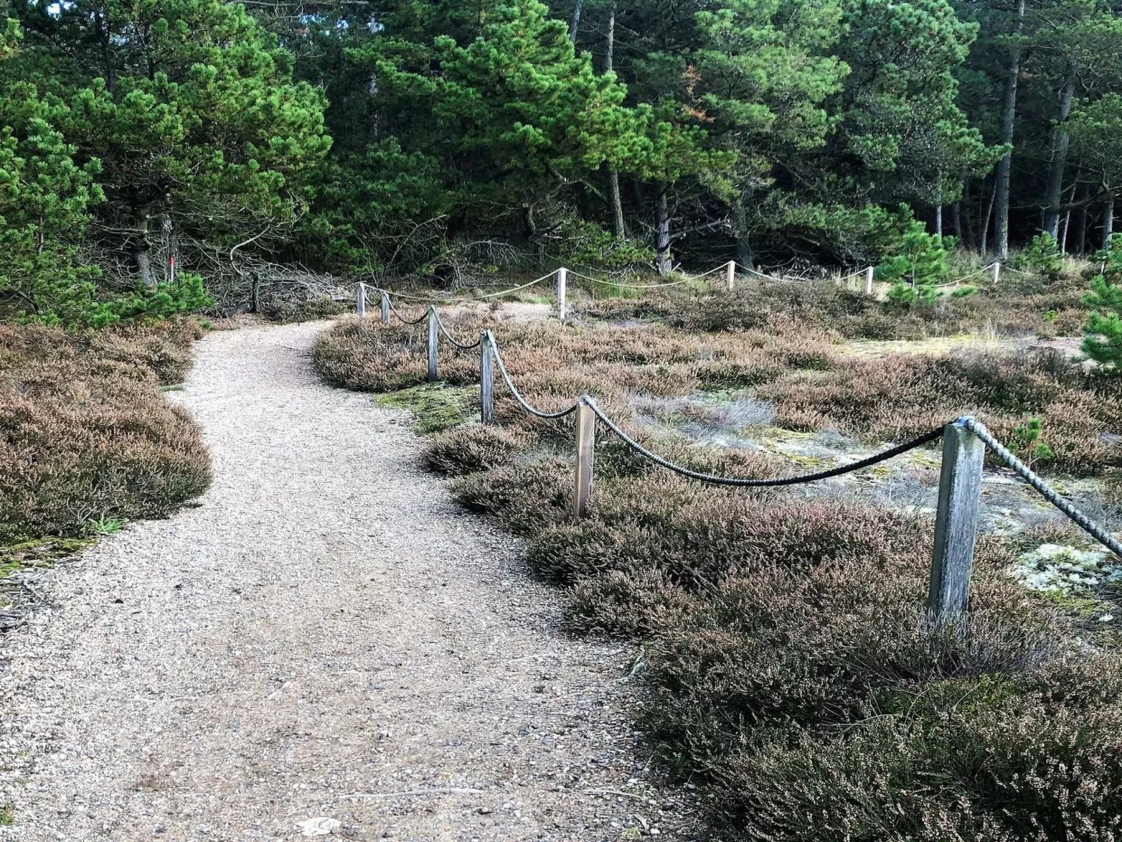 "Turkka" - 3.8km from the sea-Buiten