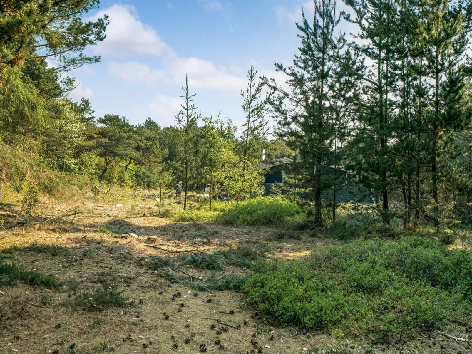 "Herborg" - 1km from the sea-Buiten