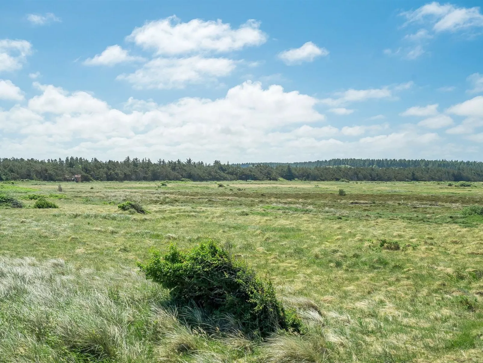 "Tayanita" - 750m from the sea-Buiten