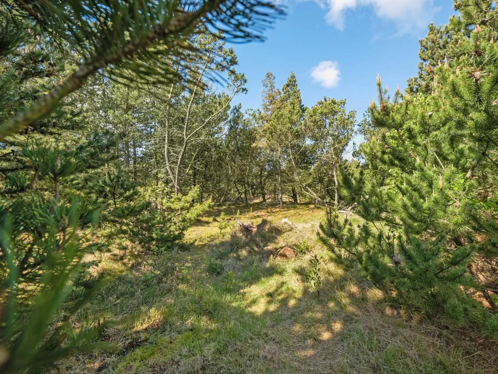 "Bogatin" - 1km from the sea-Buiten