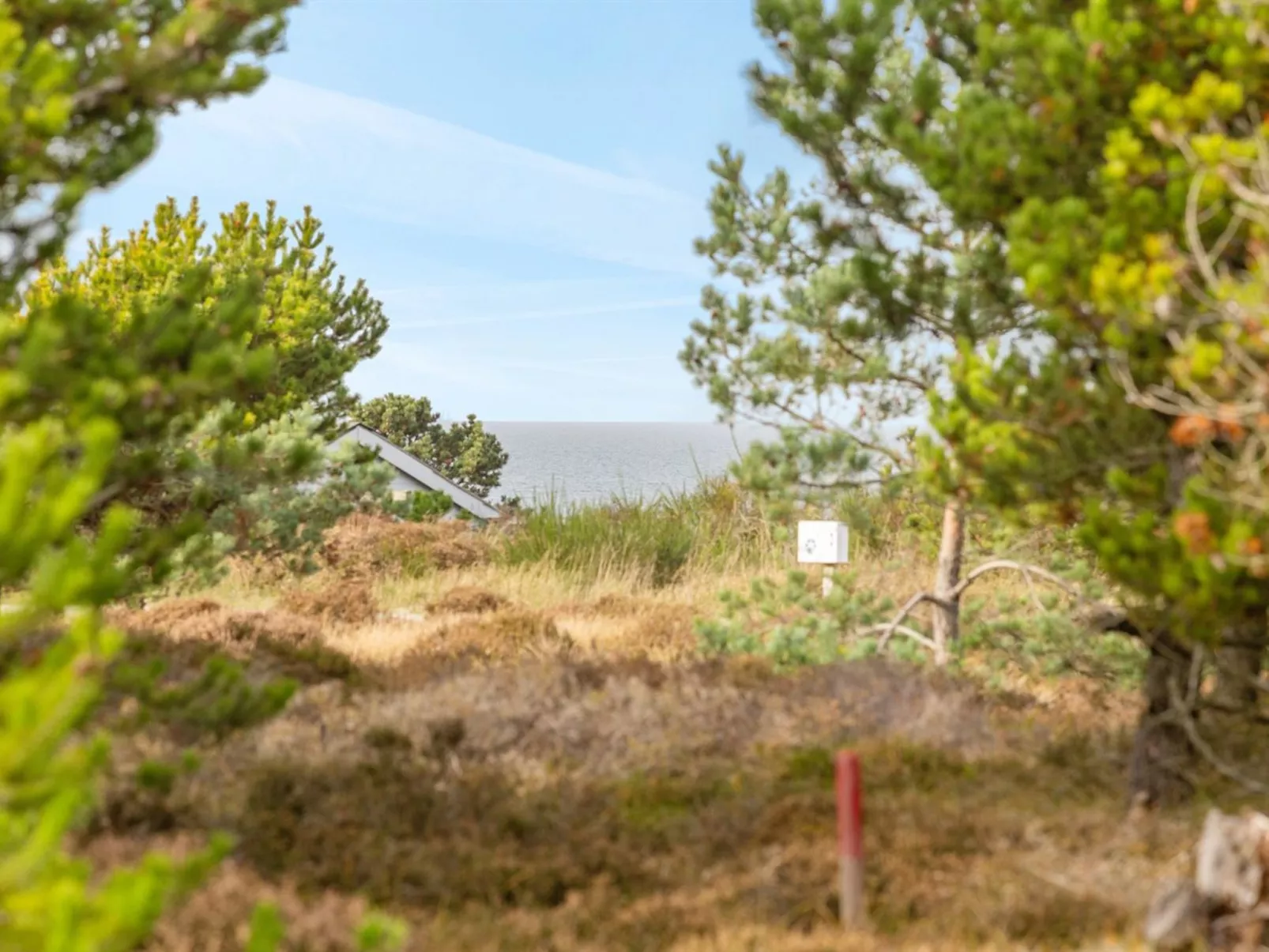 "Bille" - 200m from the sea-Buiten