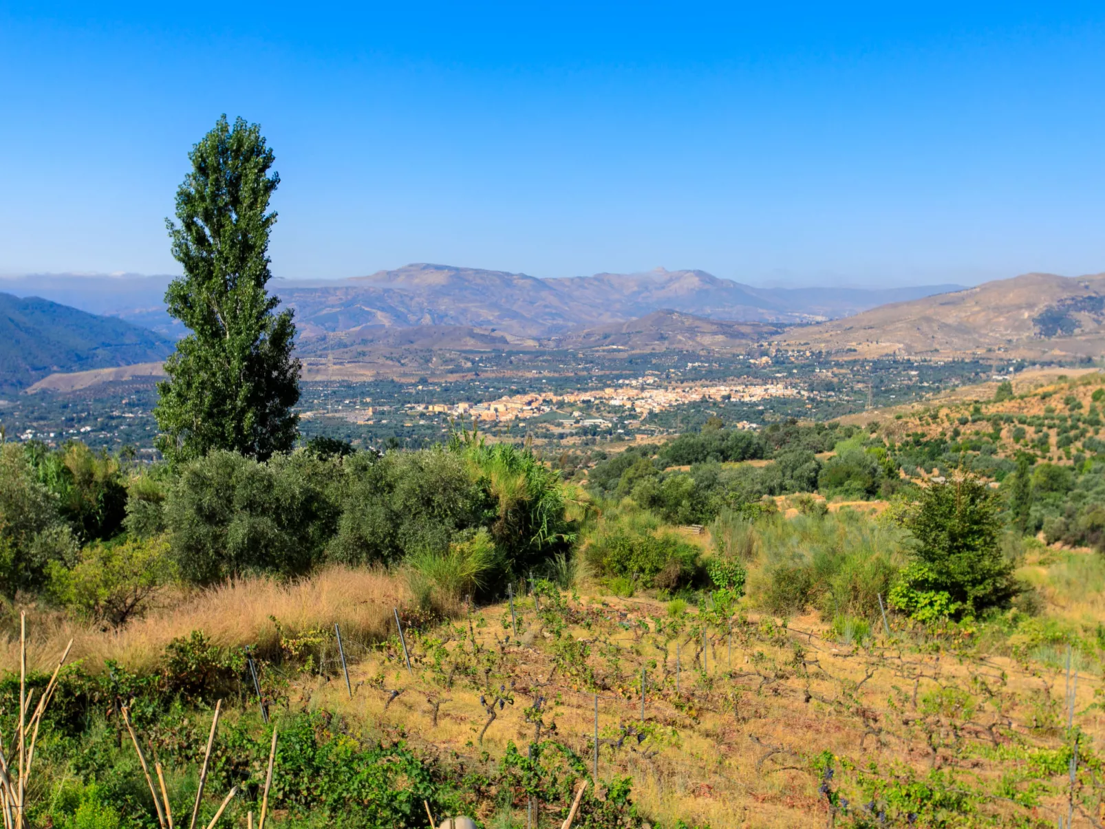 El Cerrillo - Cerro Negro-Buiten