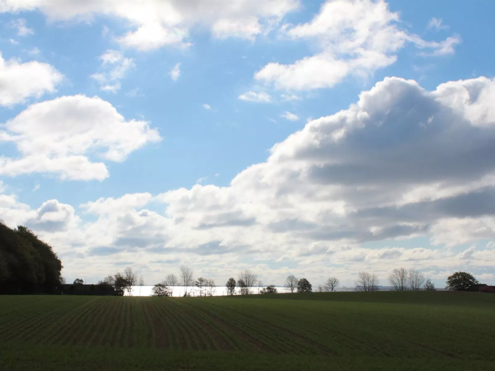 "Harre" - 300m from the sea-Buiten