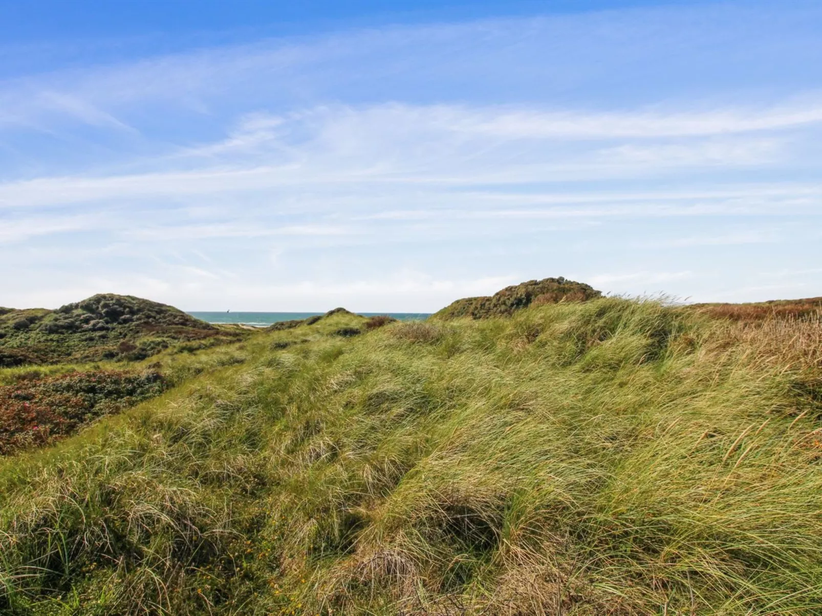 "Gebko" - 150m from the sea-Buiten