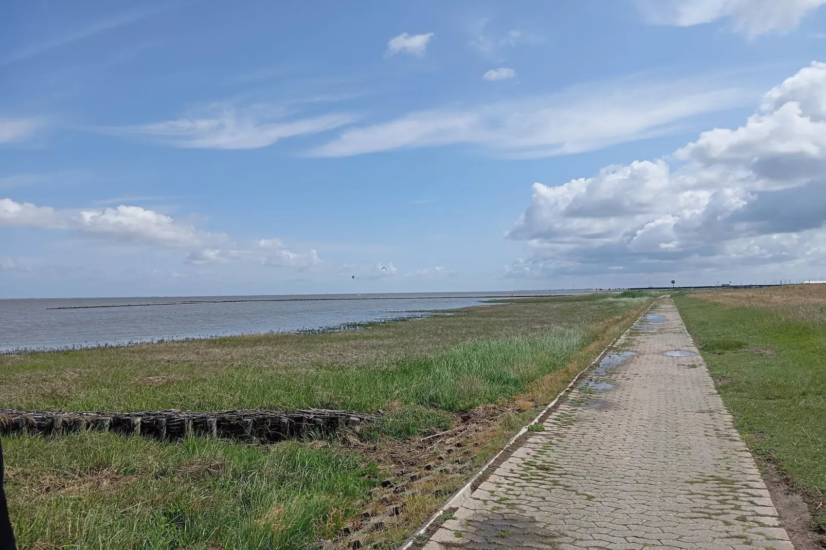 Ferienhaus Seeschwalbe-Gebieden zomer 5km
