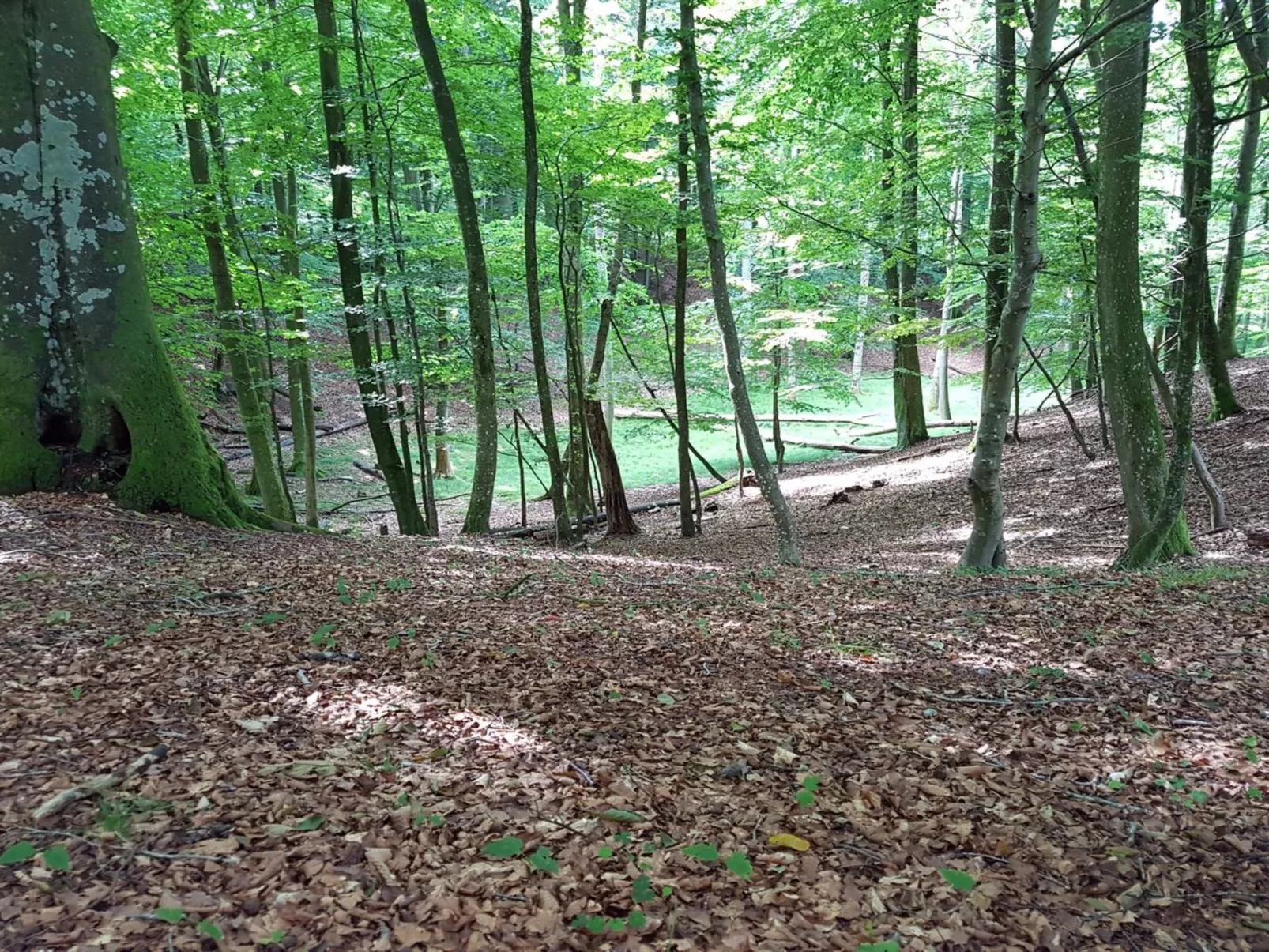 "Grep" - 800m from the sea-Buiten