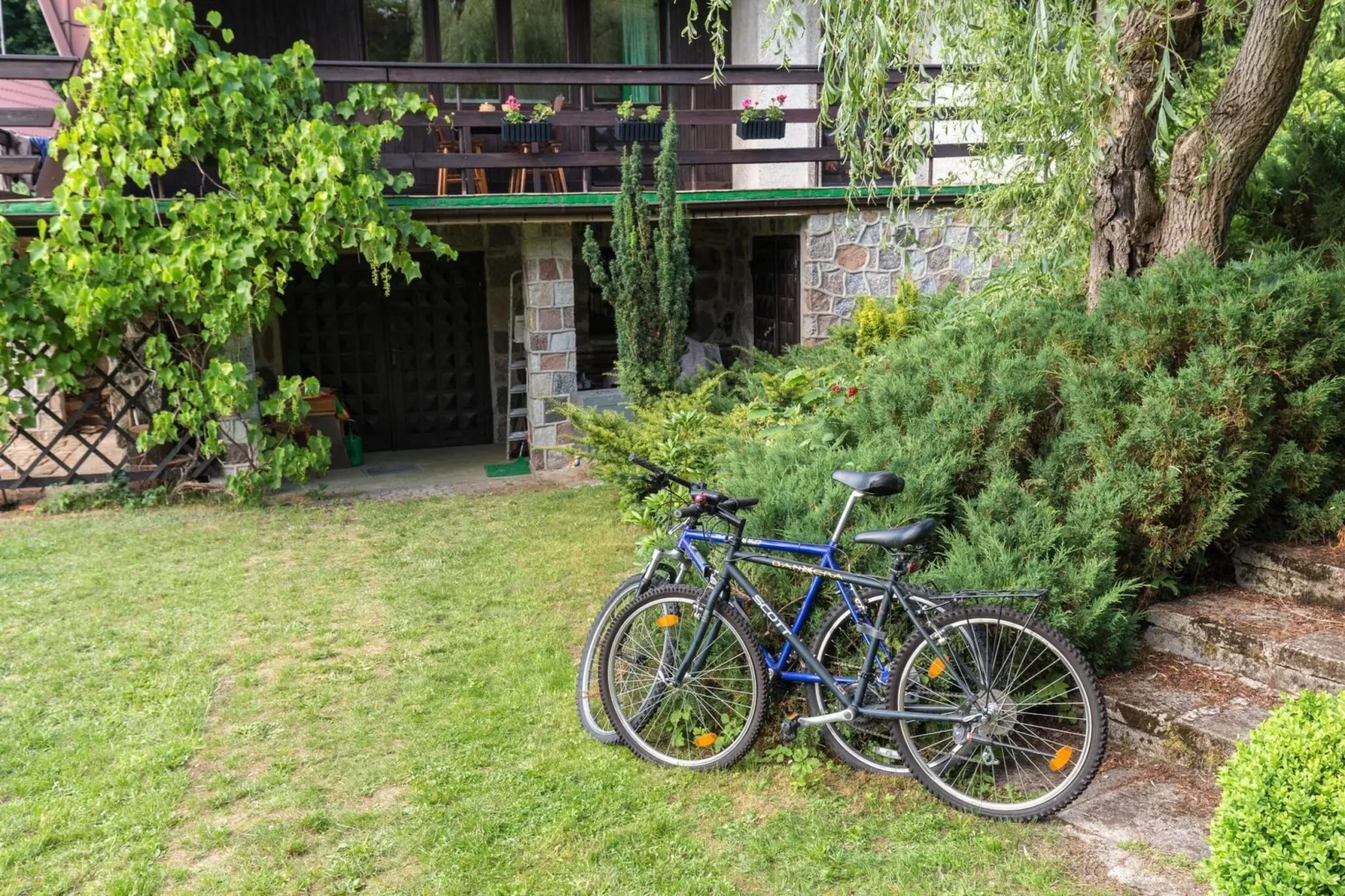 Dom wakacyjny dla 5 osób w Przewozie-Buitenkant zomer