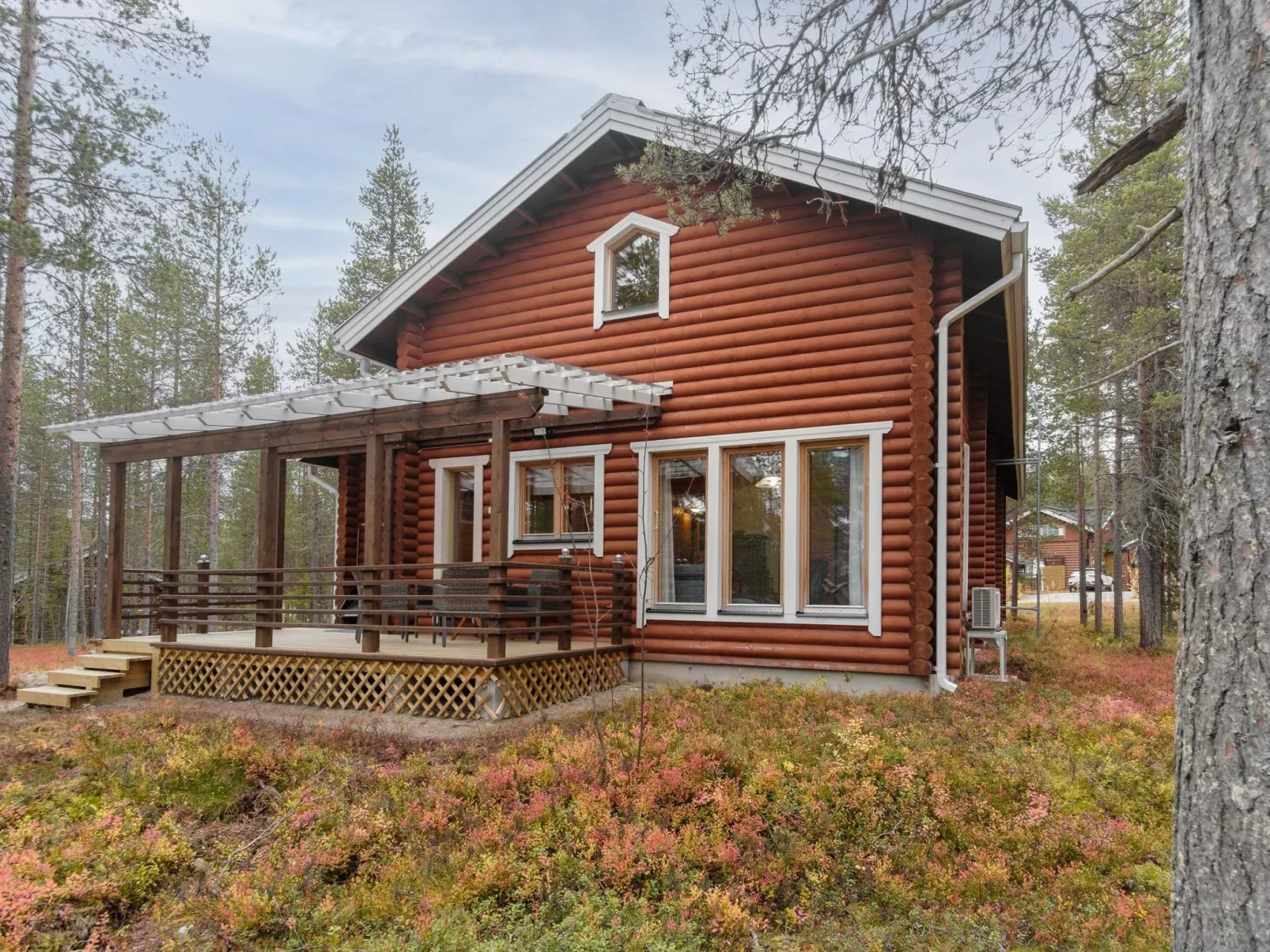 Kevätruska b-Binnen