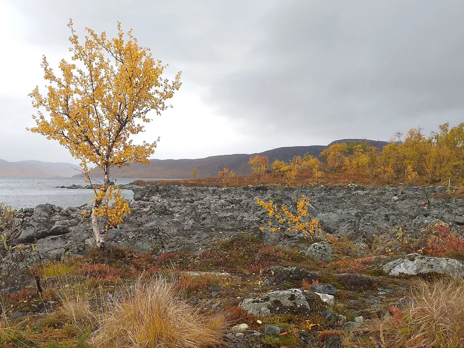 Willa kiiruna-Binnen