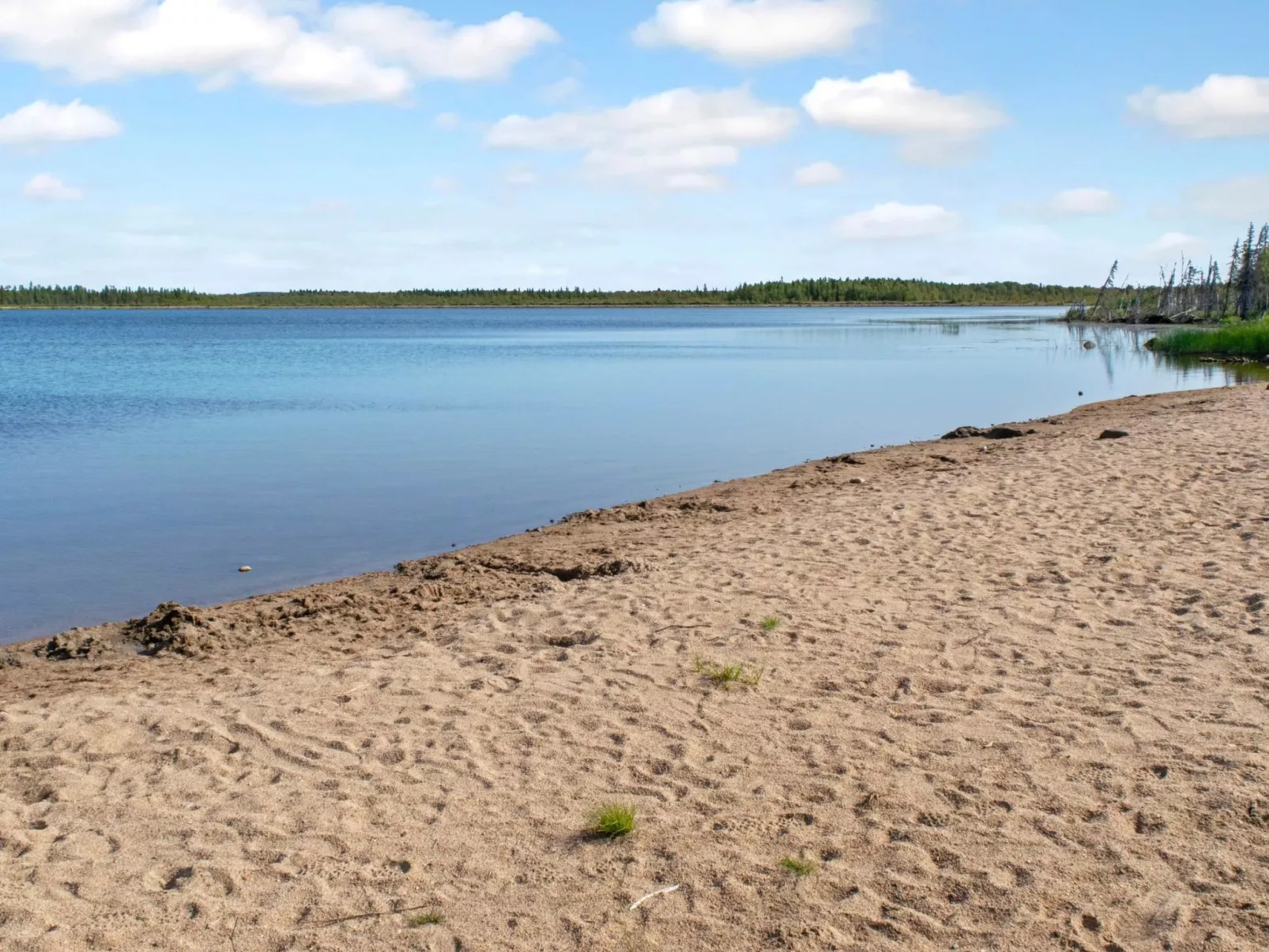 Mötönpesä 2-Binnen