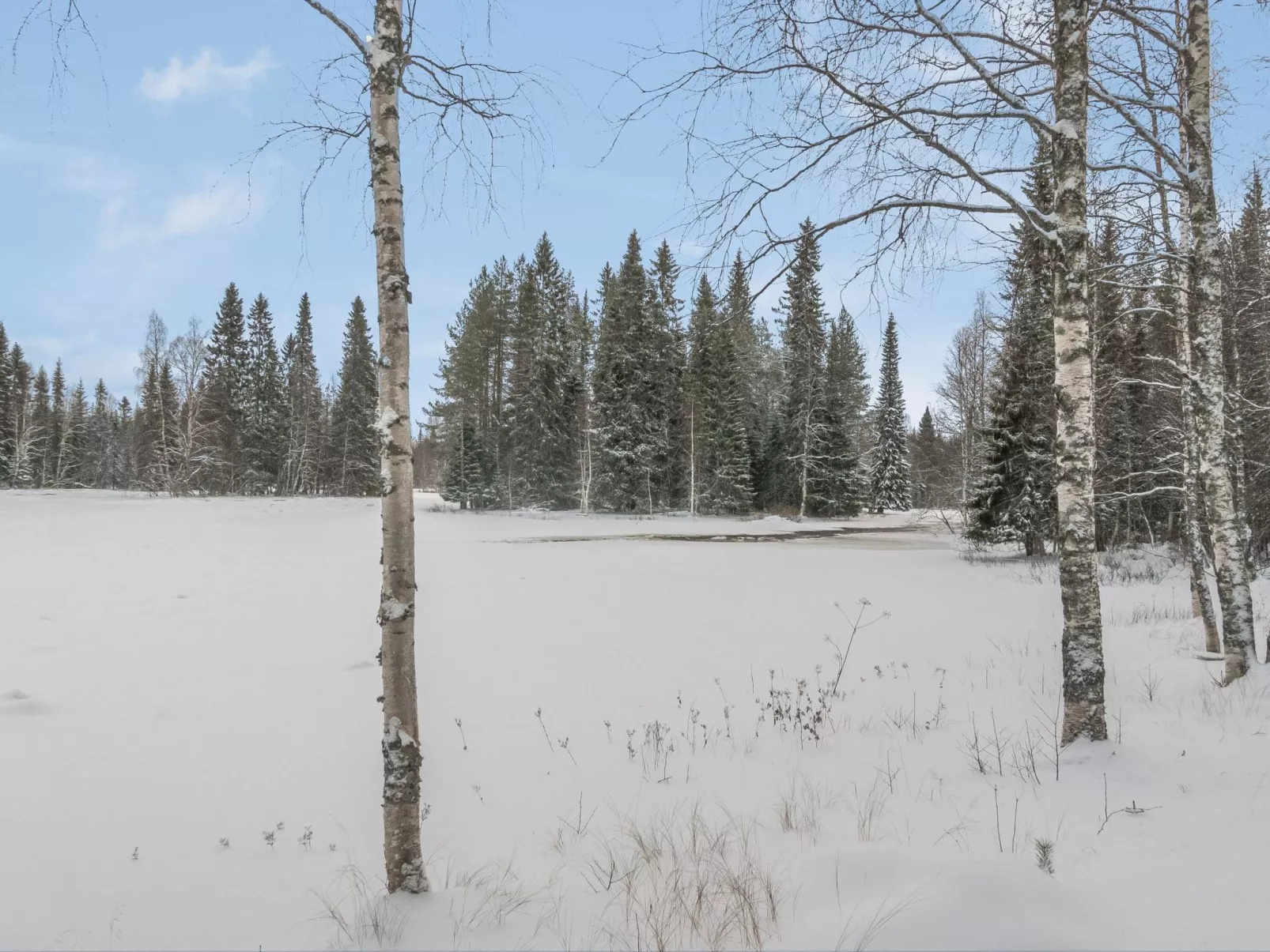 Vaahtissuvanto-Binnen