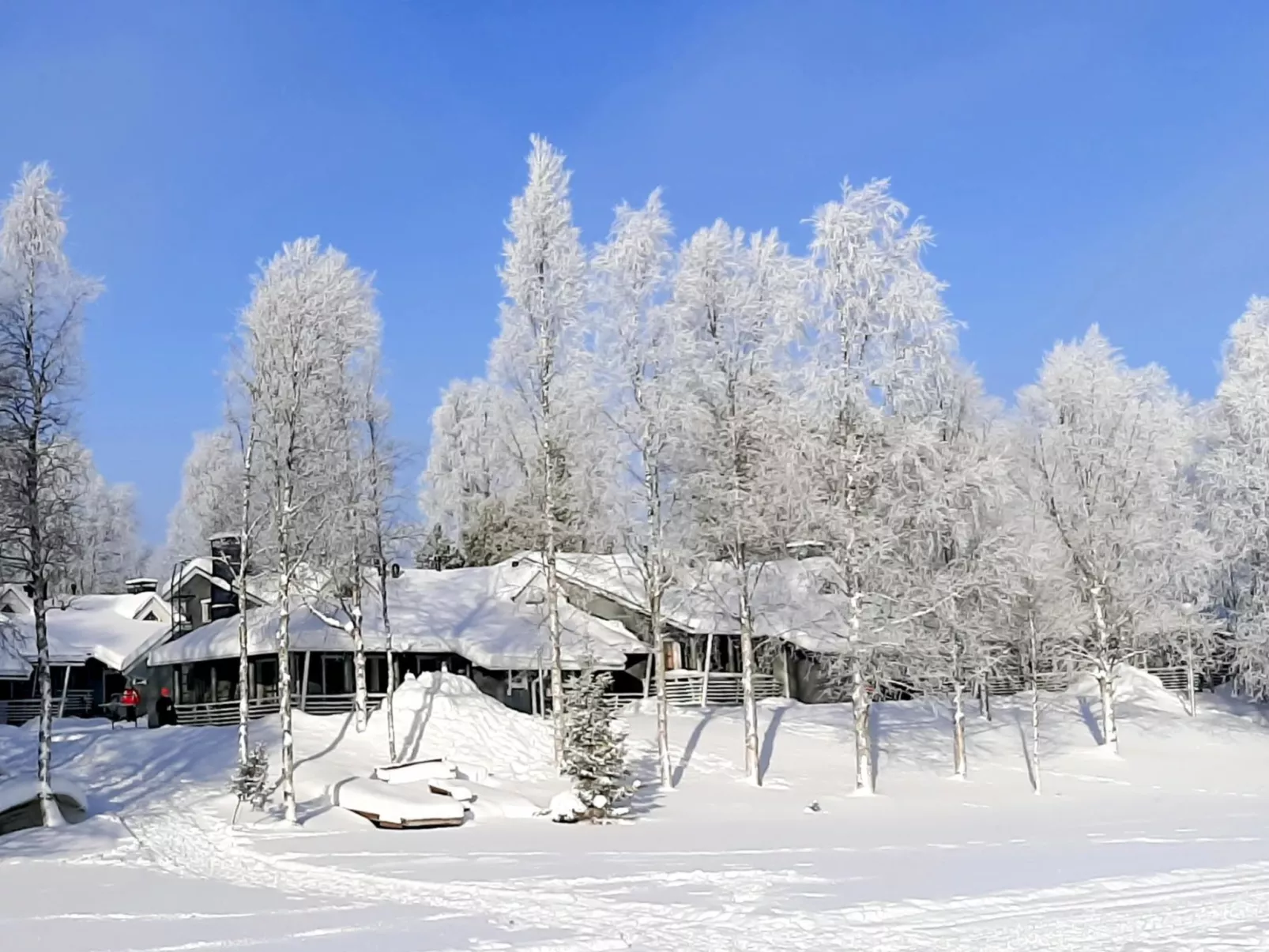 Lomakivakka b6-Binnen