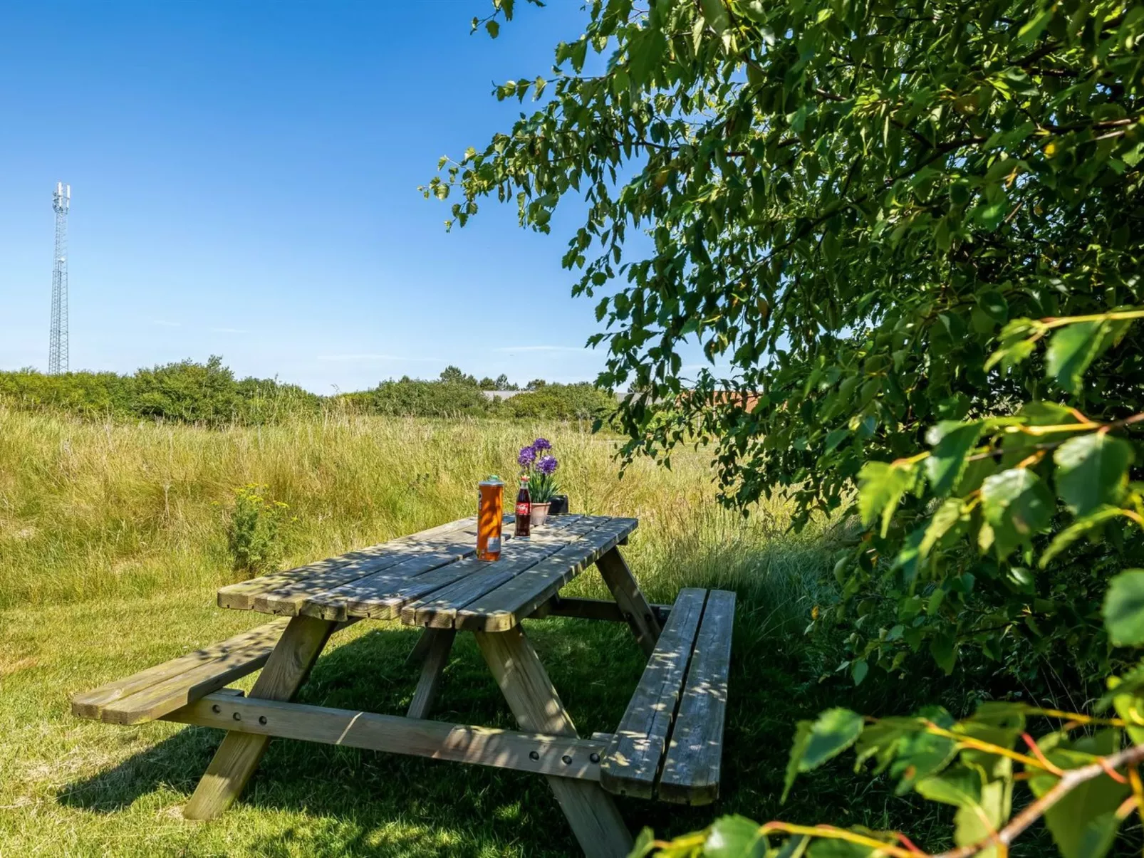 "Ernesta" -  from the sea-Buiten