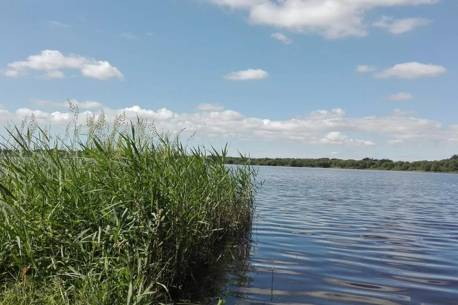 5 sterren vakantie huis in Ansager-Waterzicht