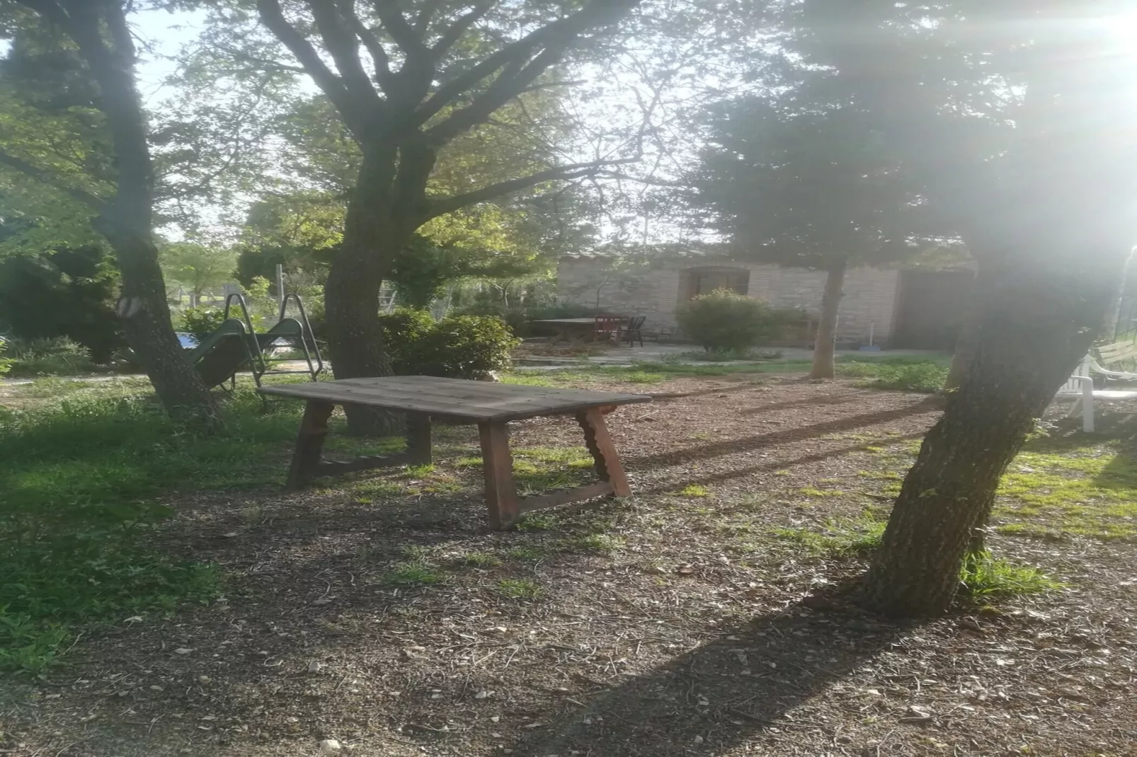 Cal Xelin-Gebieden zomer 1km