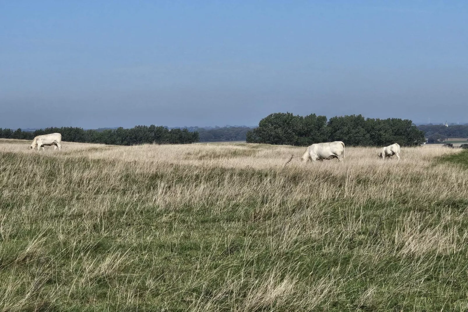 5 sterren vakantie huis in YSTAD-Niet-getagd