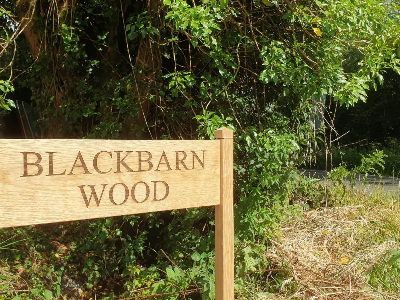 Blackbarn Wood-Buiten