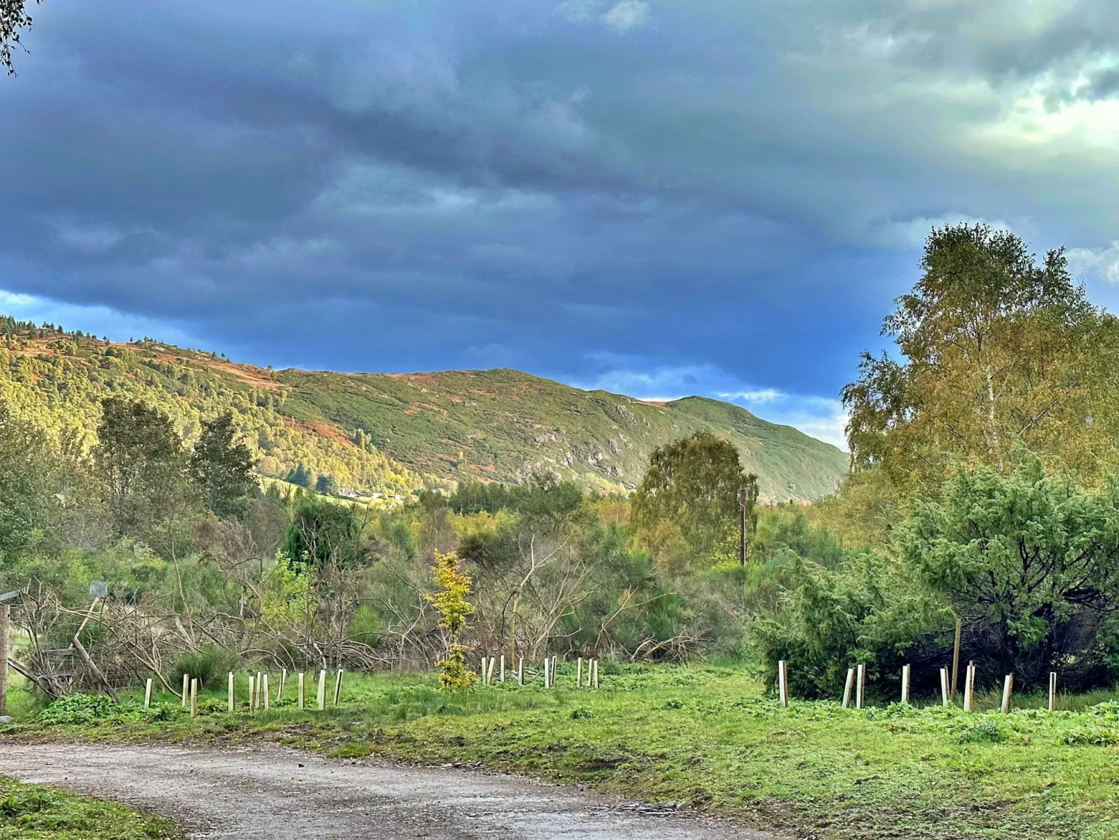 Cosagach Falls Cabin-Buiten