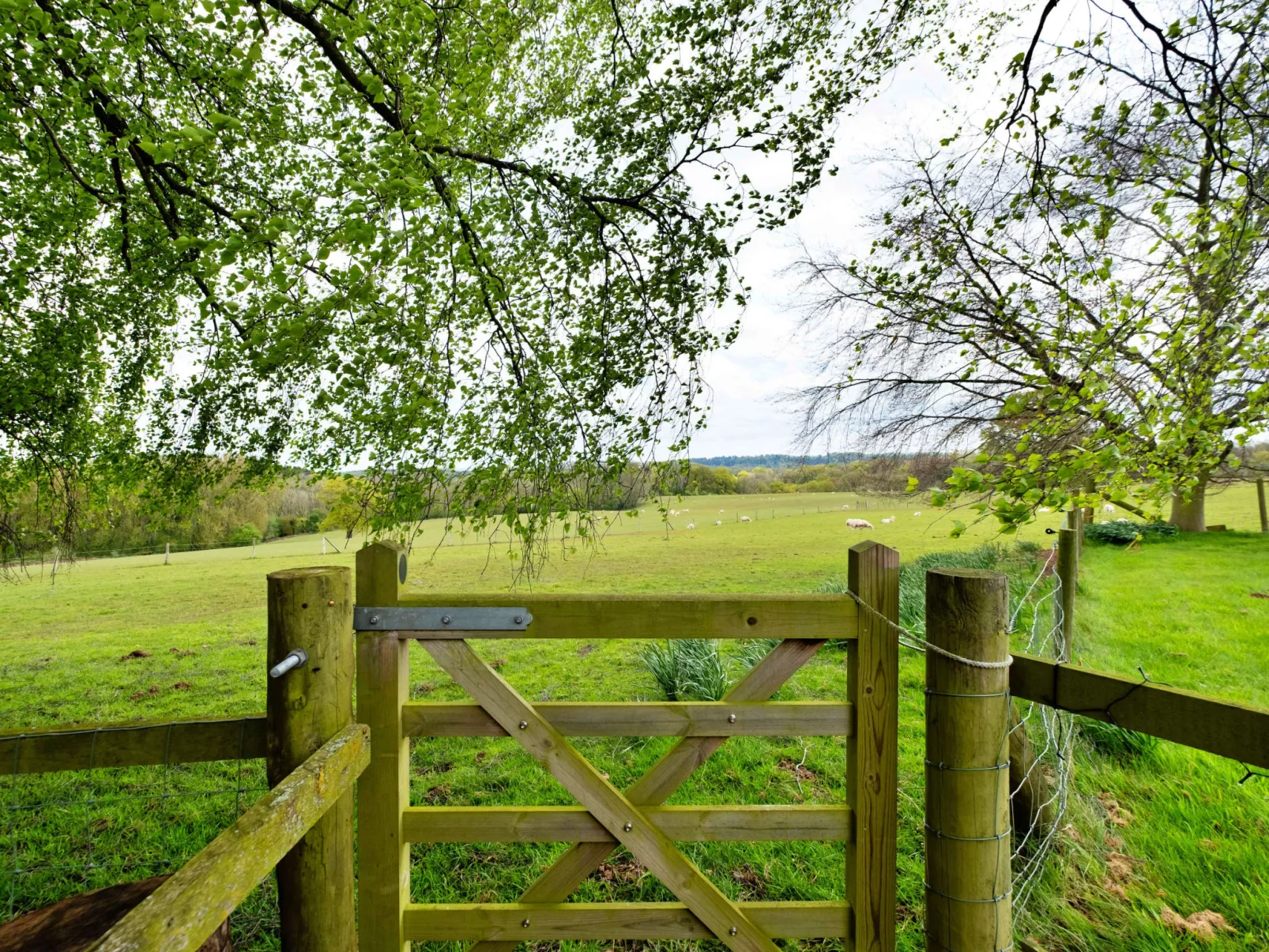 Hay and Hedgerow Glamping-Buiten