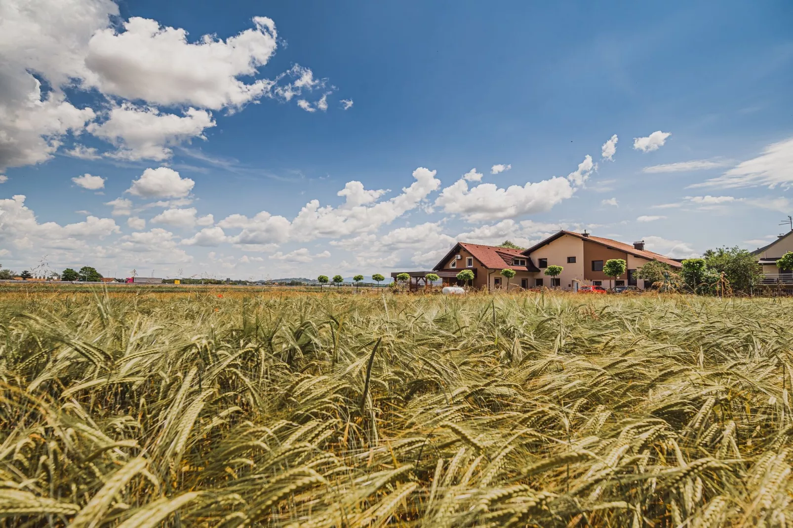 Elegant and Stylish Retreat Apartments with Terrace - Studio Apartment with Terrace-Buitenlucht