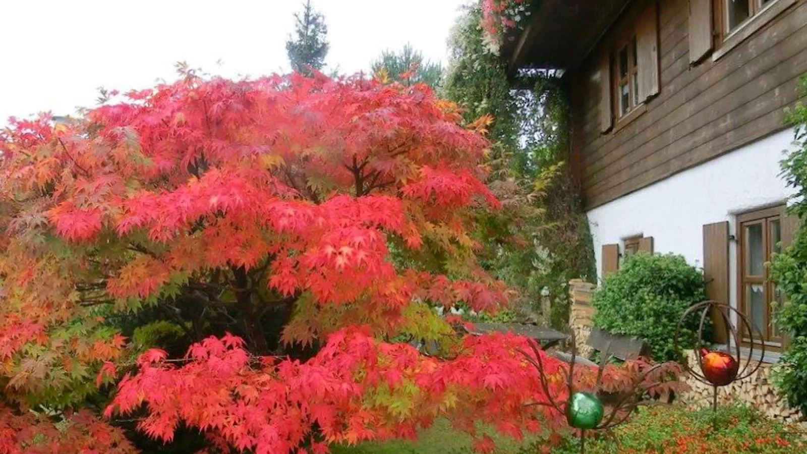 Bayerwald-Tuinen zomer