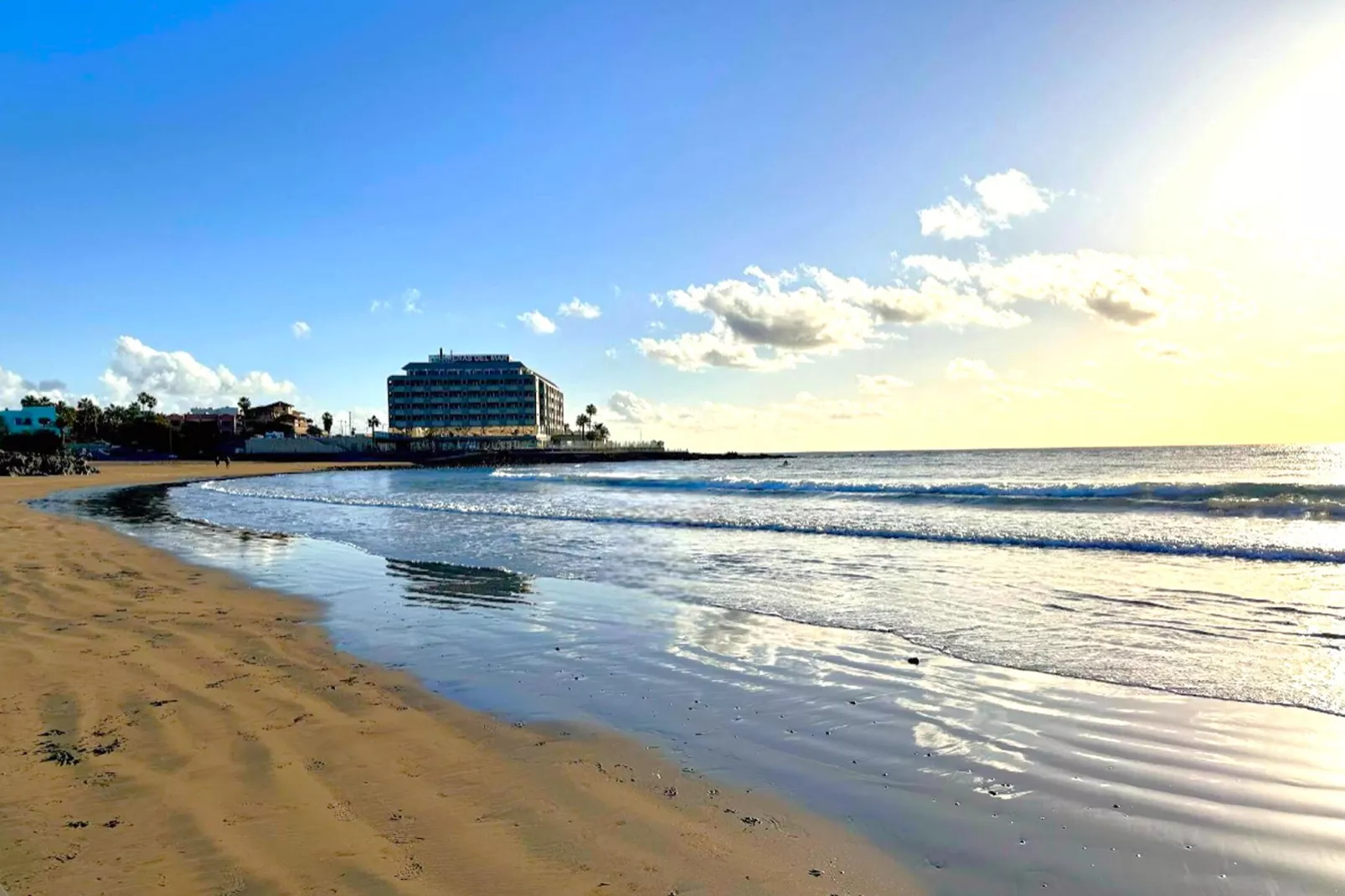 Delfin 101B 1d-Gebieden zomer 1km