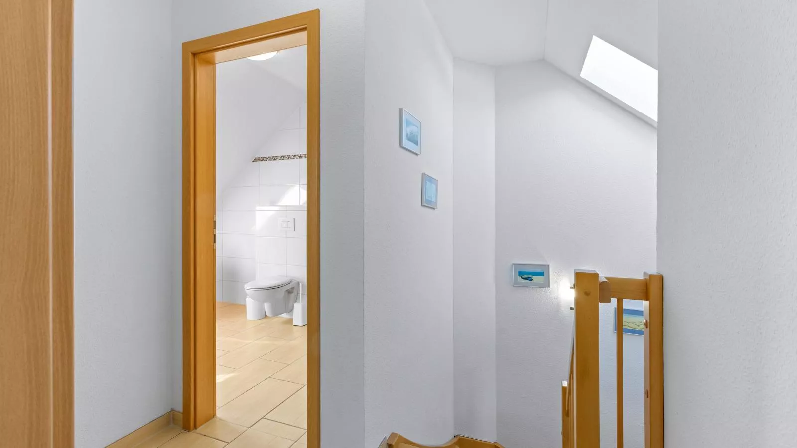 Windflüchter XL-Overloop