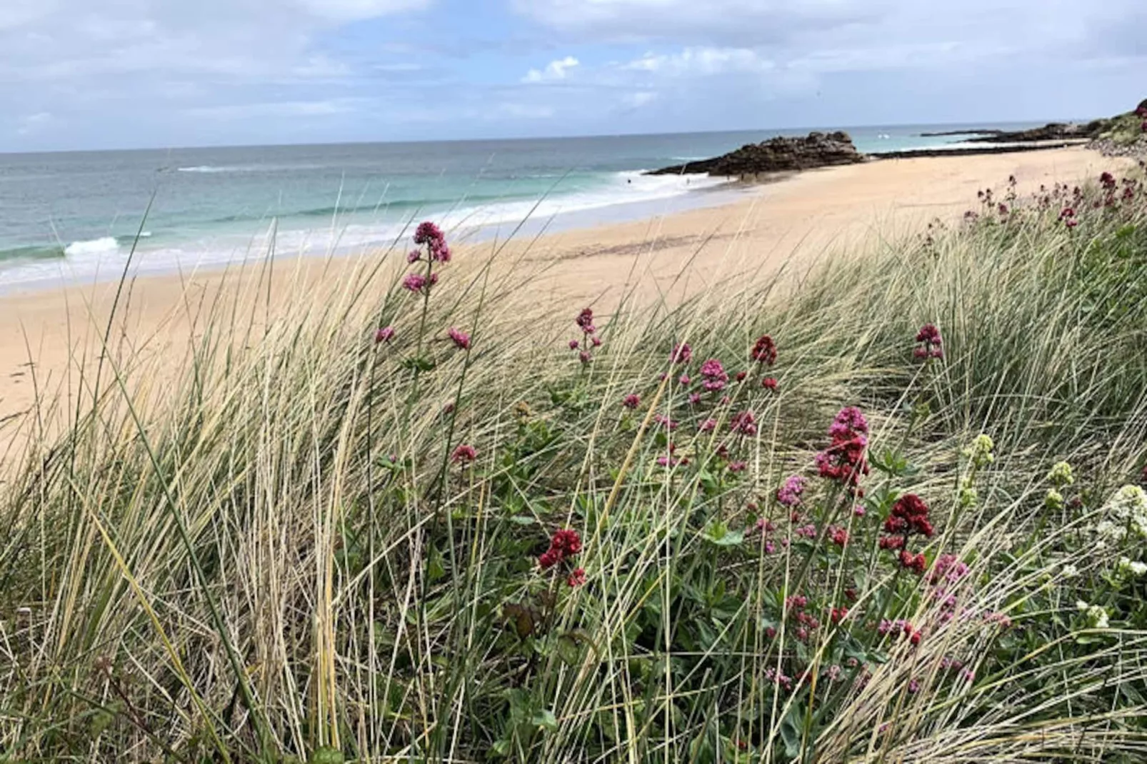 Maison à Erquy-Niet-getagd
