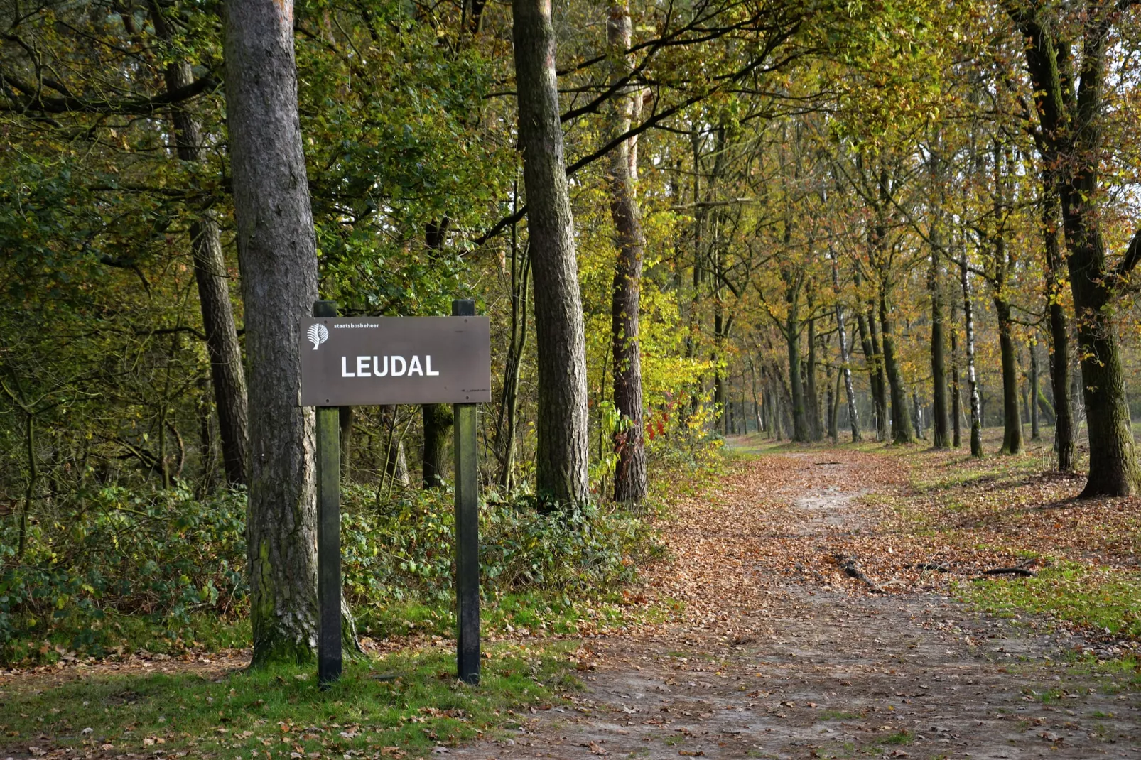 Boswoning-Gebieden zomer 5km
