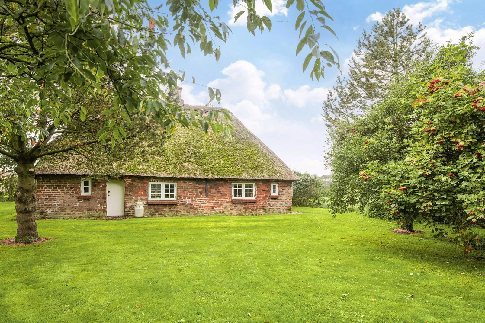 4 persoons vakantie huis in Tønder-Uitzicht