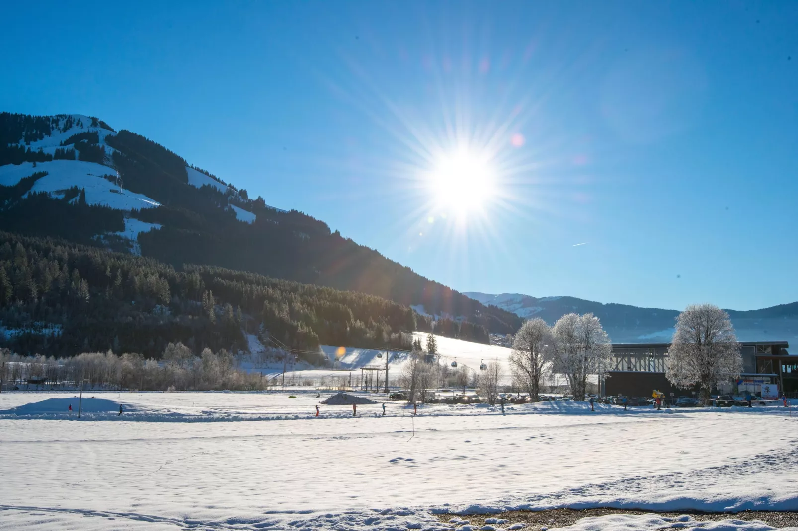 Residenz Edelalm - Top 2-Gebied winter 5km