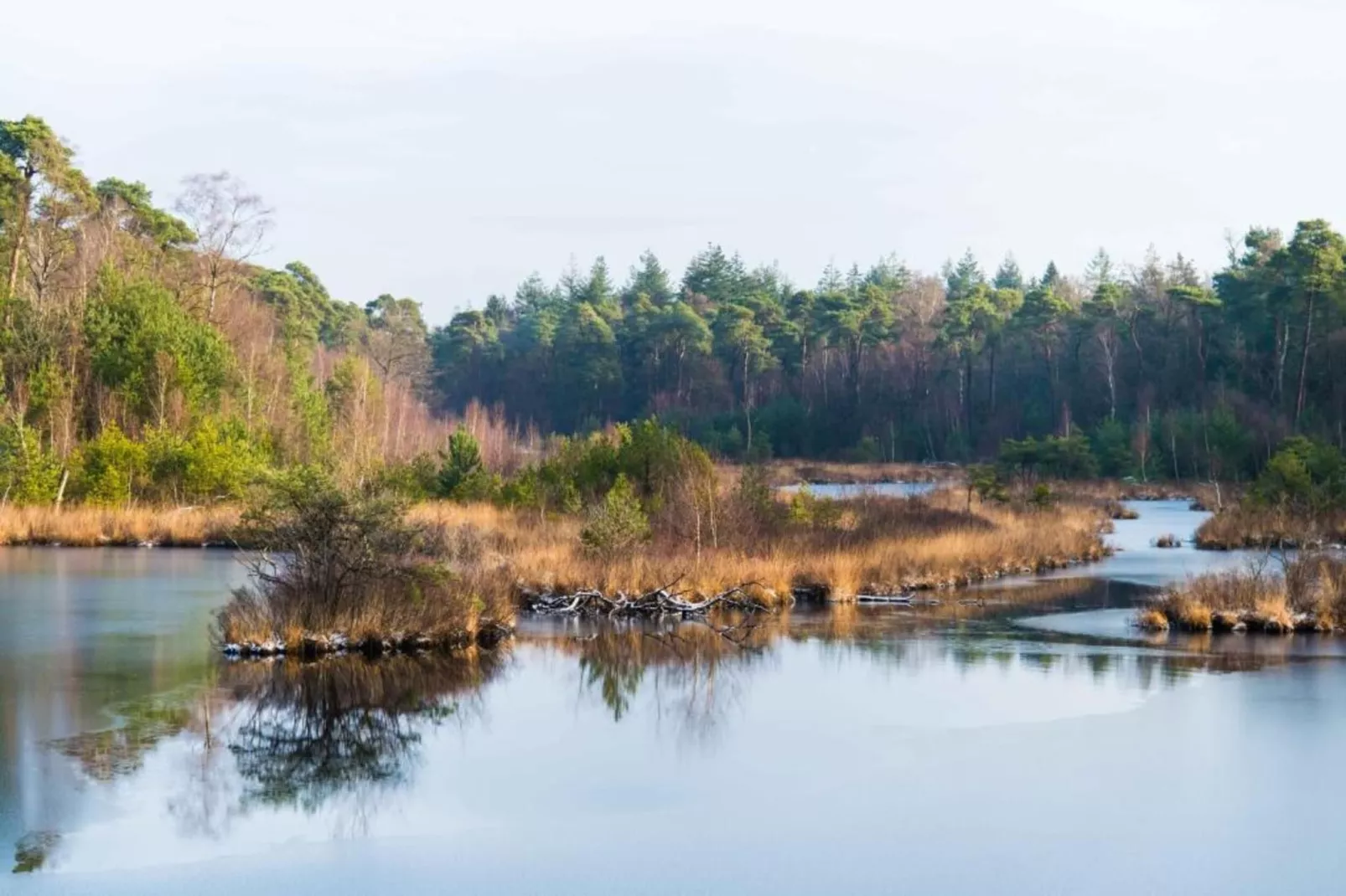 Vakantiepark Molenvelden 6-Gebieden zomer 20km